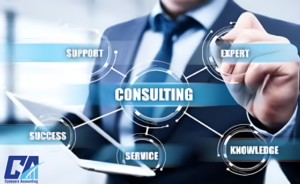Audit Consulting for Small Businesses