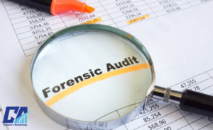 Forensic Audit Support