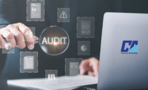 Audit Defense Services
