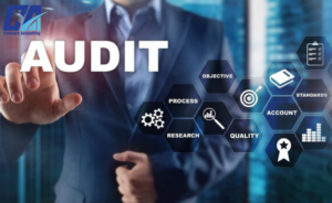 Audit Dispute Resolution